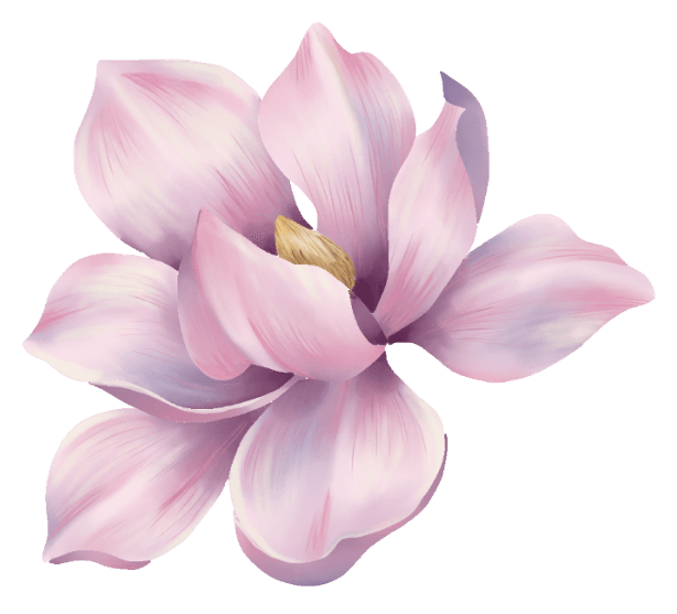 Magnolia — TingYu's signature flower