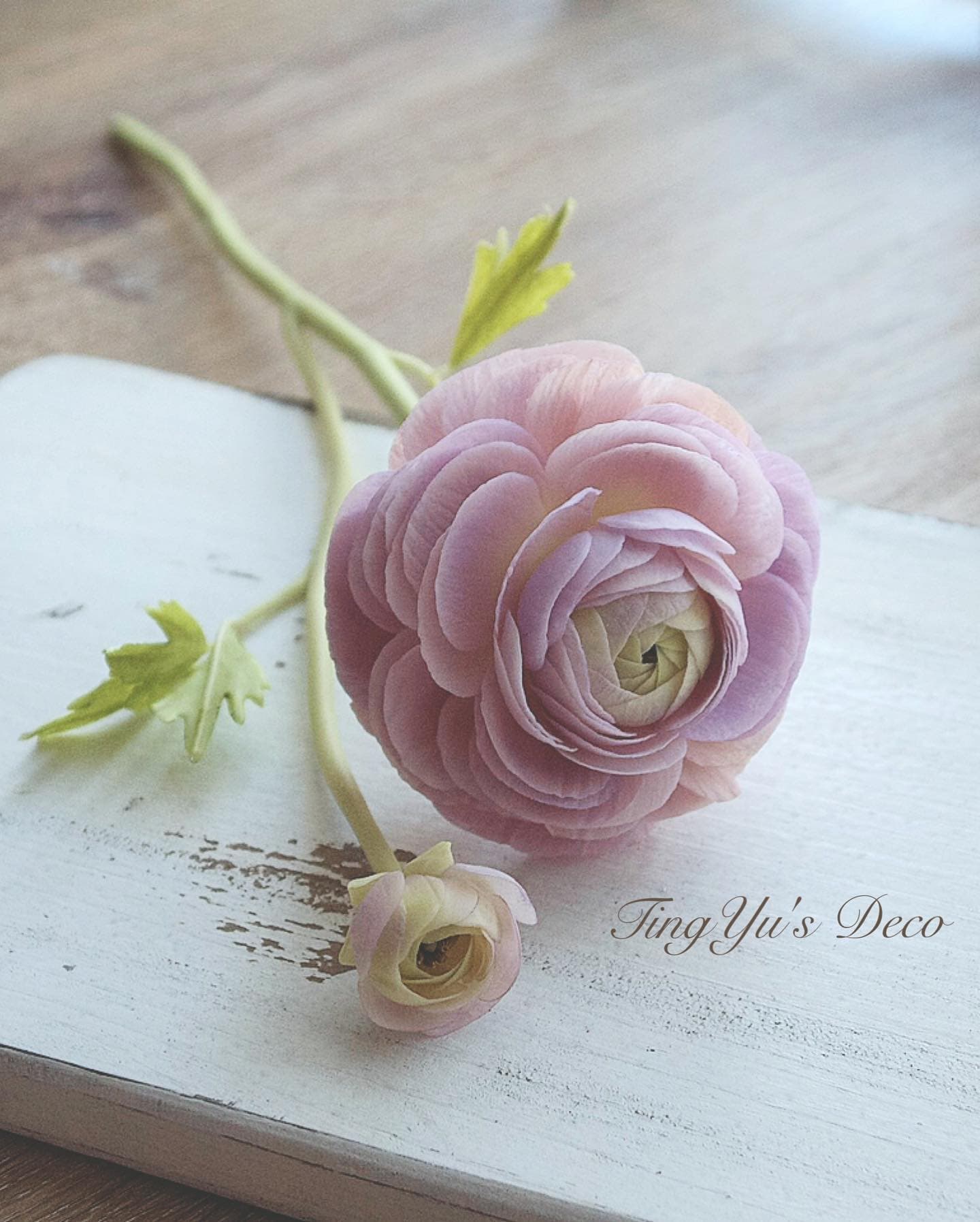 Cold Porcelain Flowers | 冷瓷花 — 13