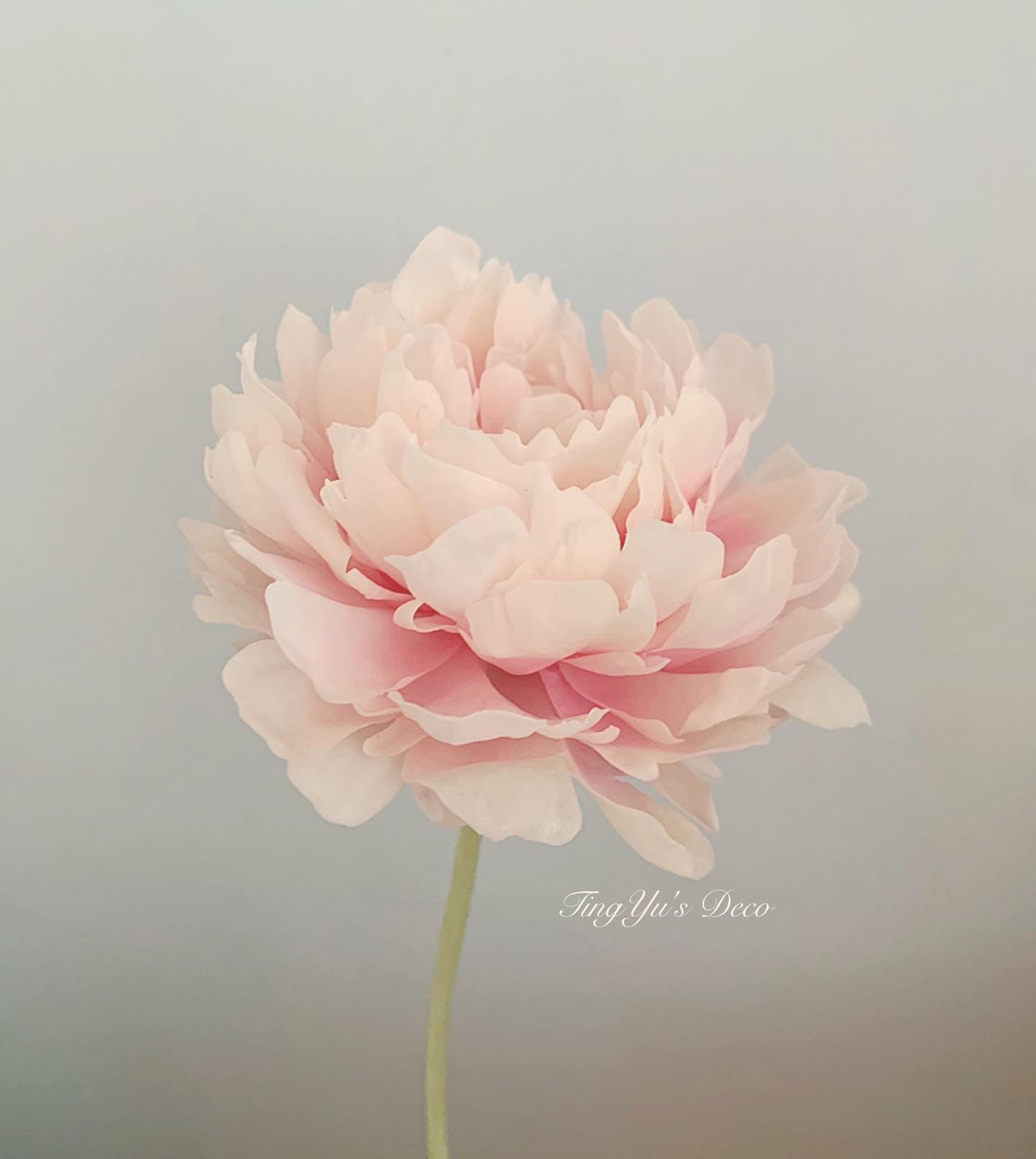 Cold Porcelain Flowers | 冷瓷花 — 18