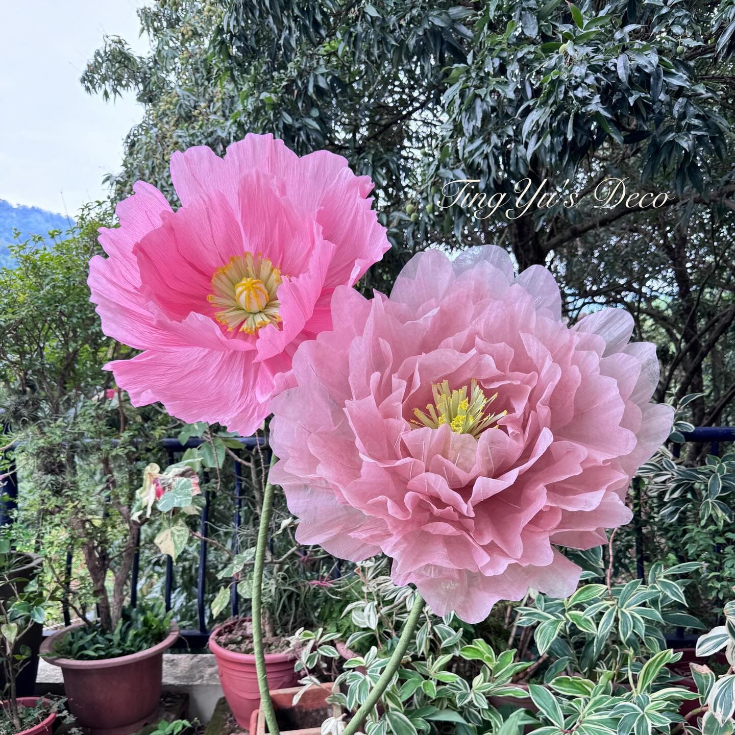 Giant Paper Flowers | 巨型紙花