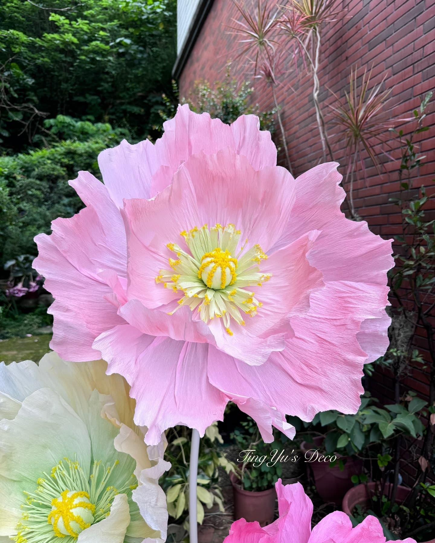 Giant Paper Flowers | 巨型紙花 — 1