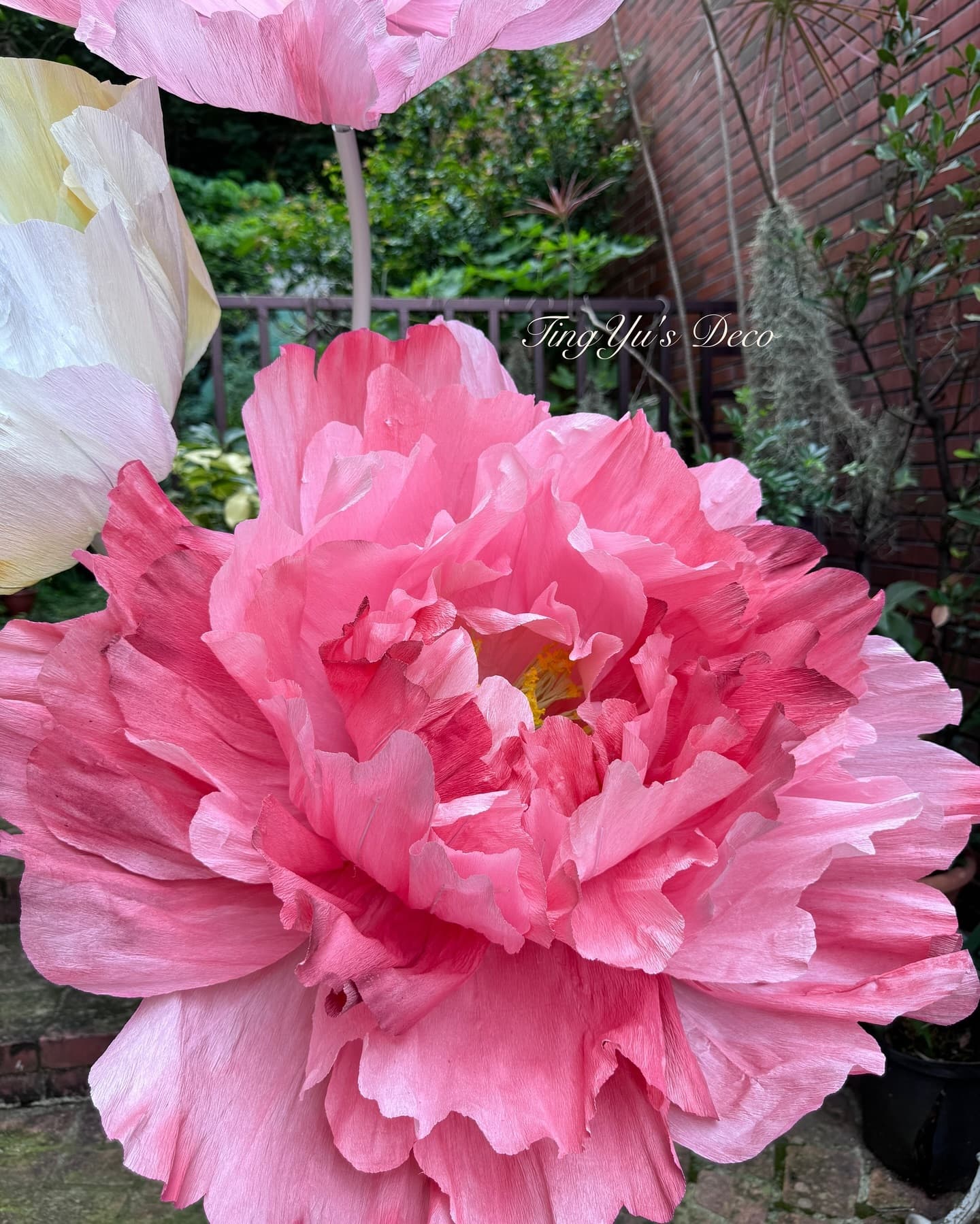 Giant Paper Flowers | 巨型紙花 — 2