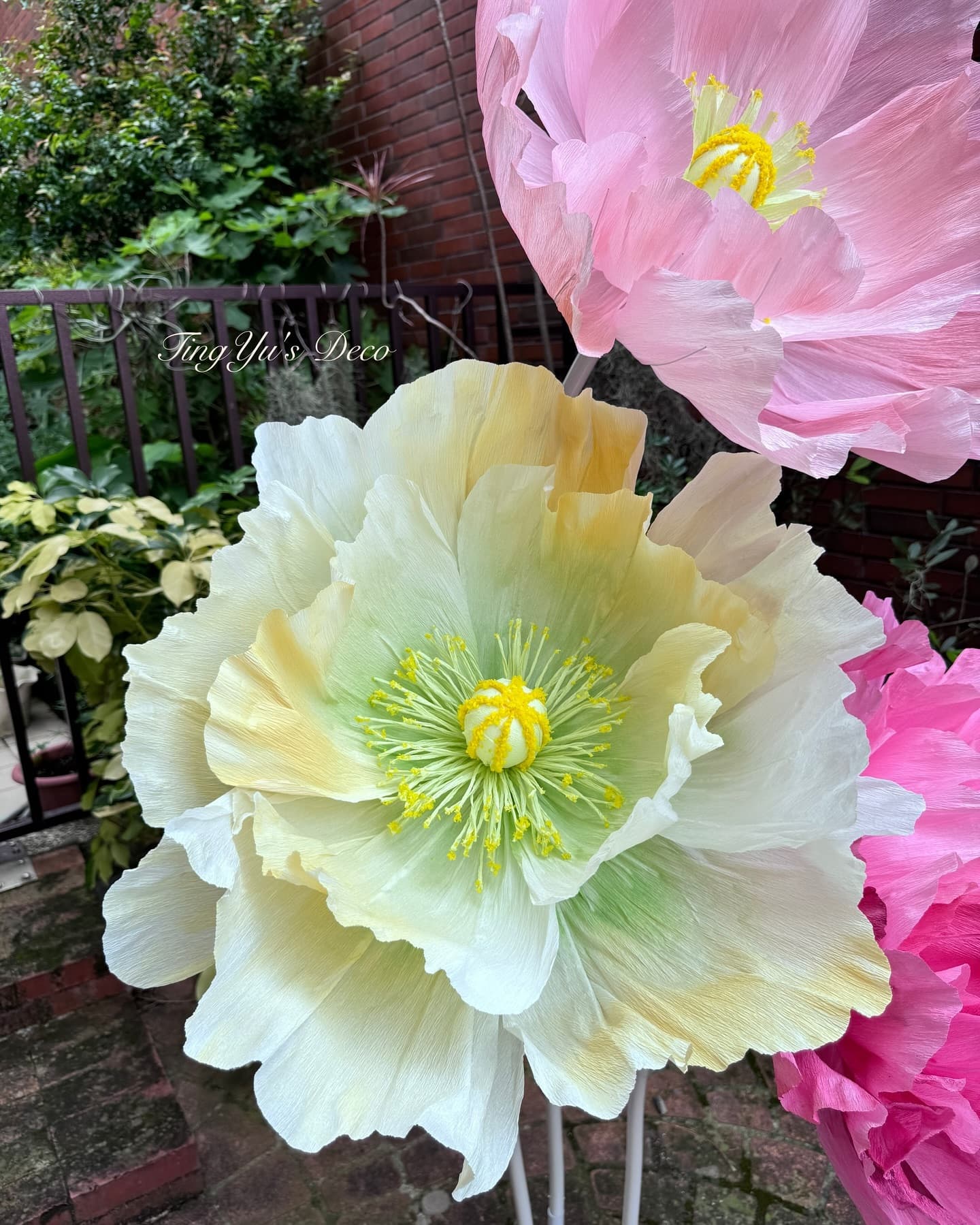 Giant Paper Flowers | 巨型紙花 — 3