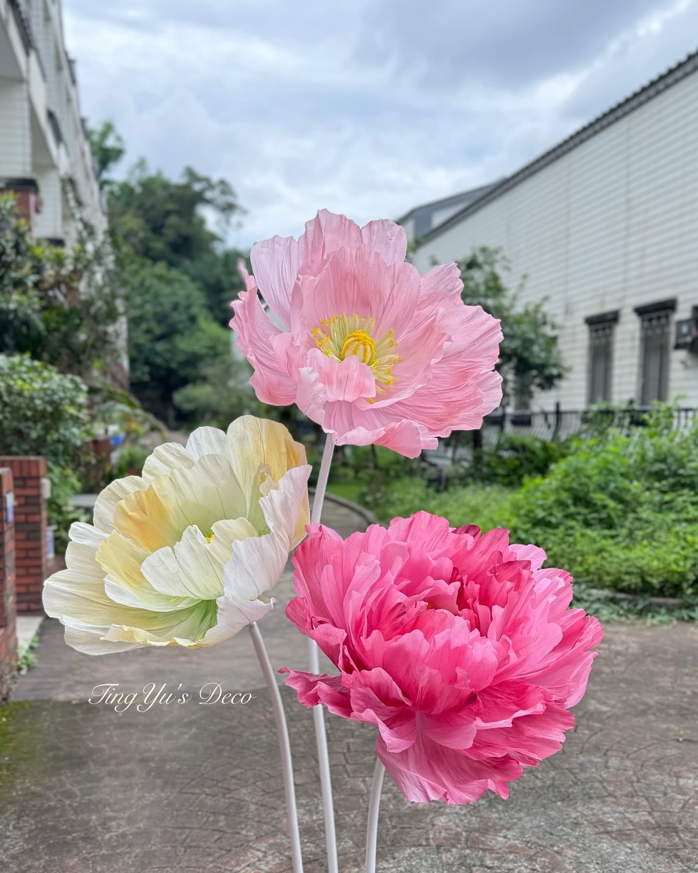 Giant Paper Flowers | 巨型紙花 — 5