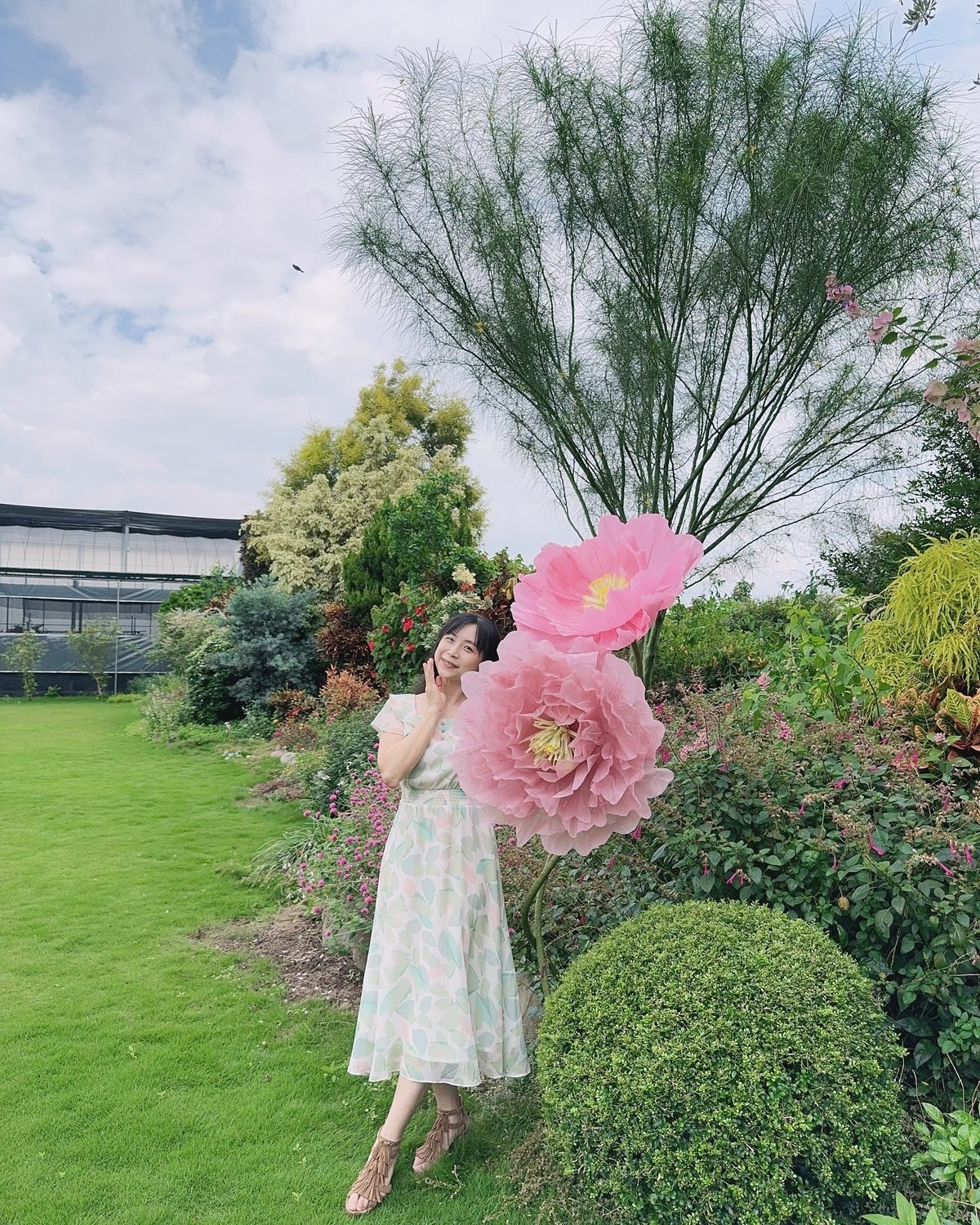 巨型皺紋紙牡丹 — 庭園