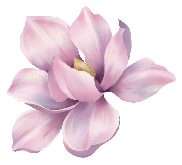 Magnolia — TingYu's signature flower, hand-painted in Procreate