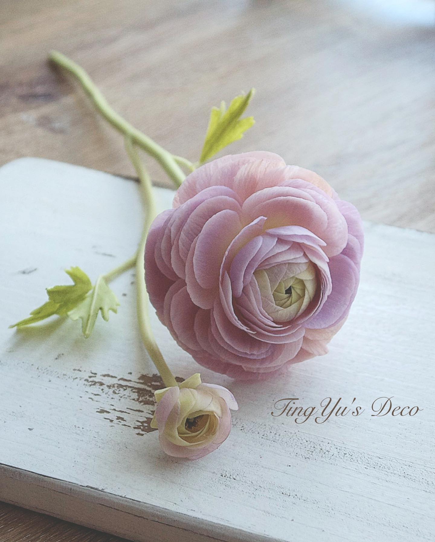 Cold Porcelain Flowers | 冷瓷花 — 13