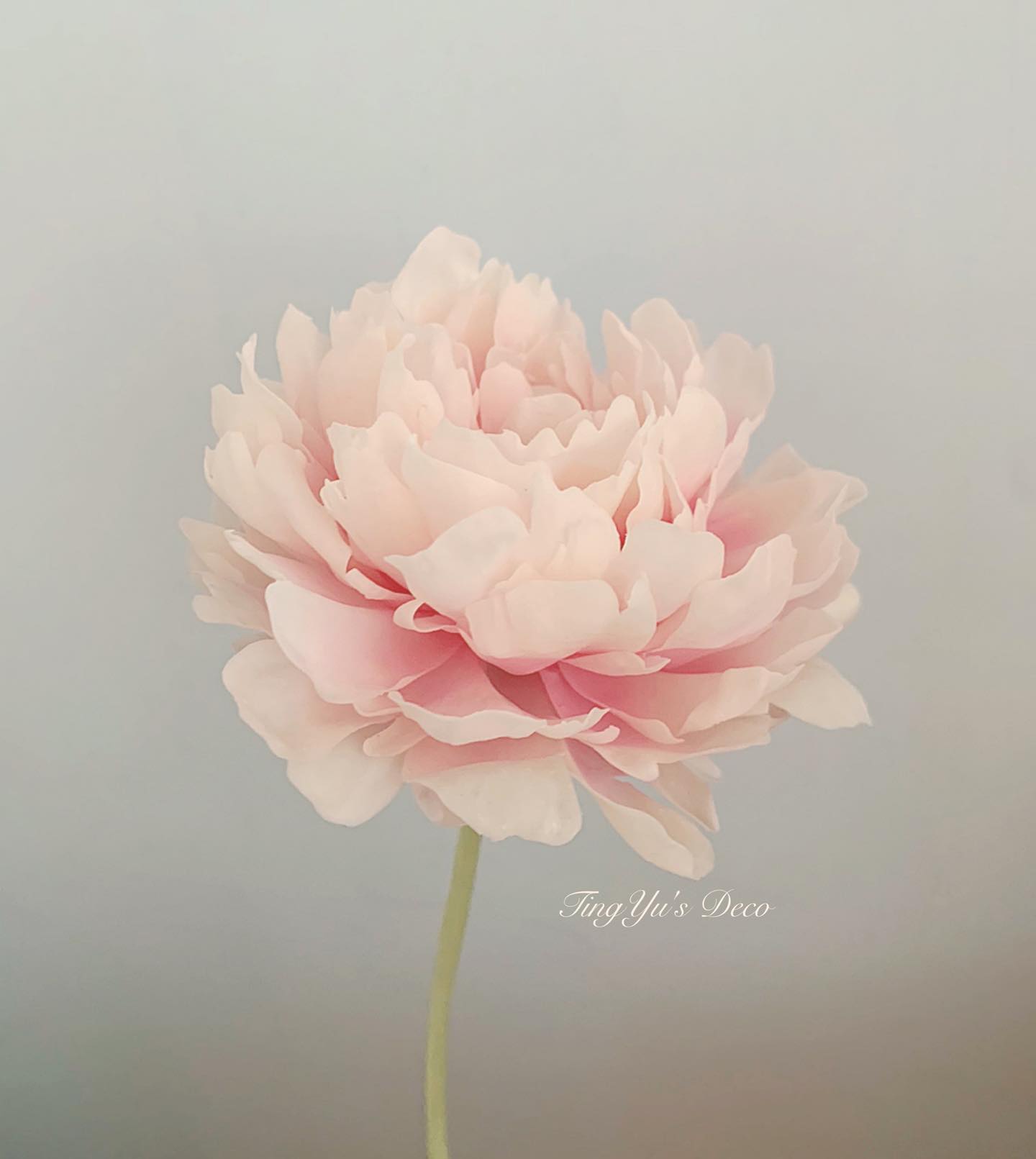 Cold Porcelain Flowers | 冷瓷花 — 18